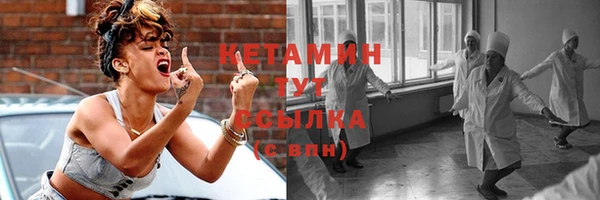 шишки Верея