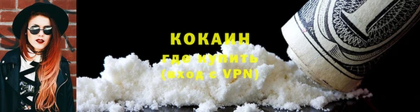 шишки Верея