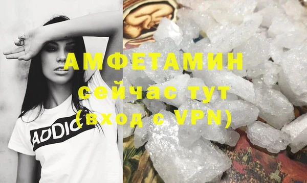 шишки Верея