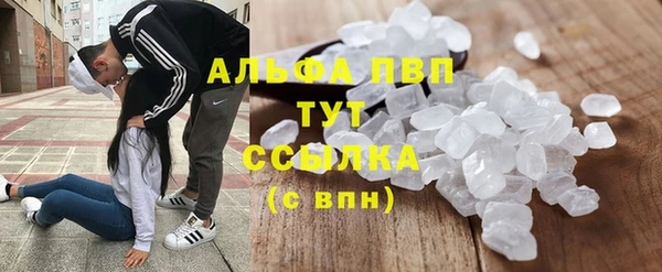 шишки Верея