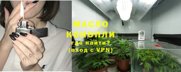 дживик Володарск