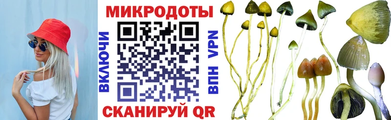 Псилоцибиновые грибы GOLDEN TEACHER  купить   Одинцово 